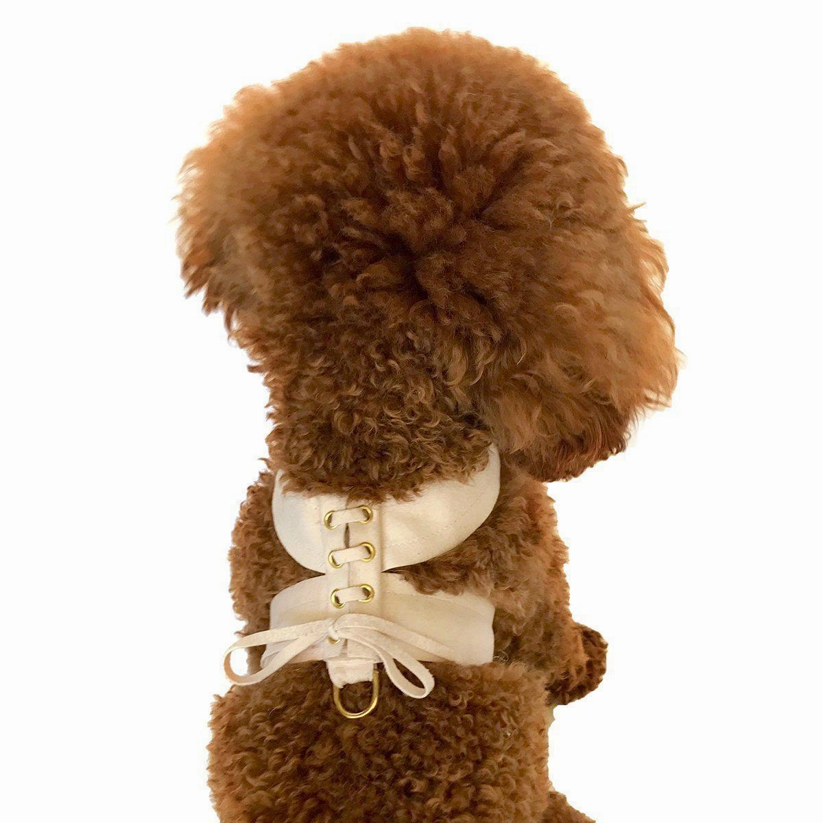 Parisian Corset Dog Harness Light Rose