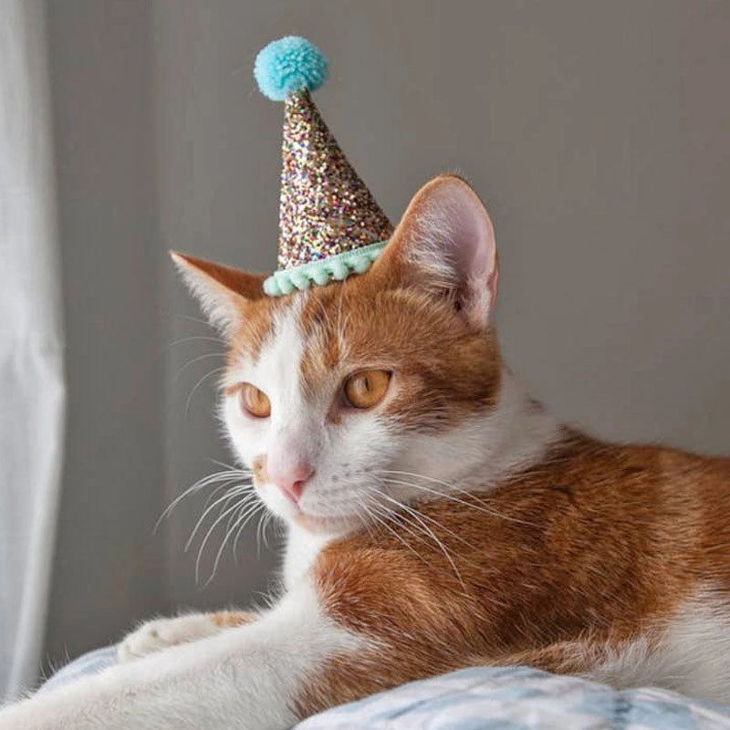 Party Hat