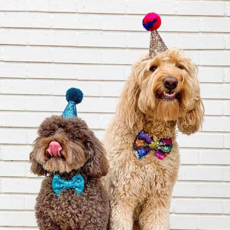 Party Hat