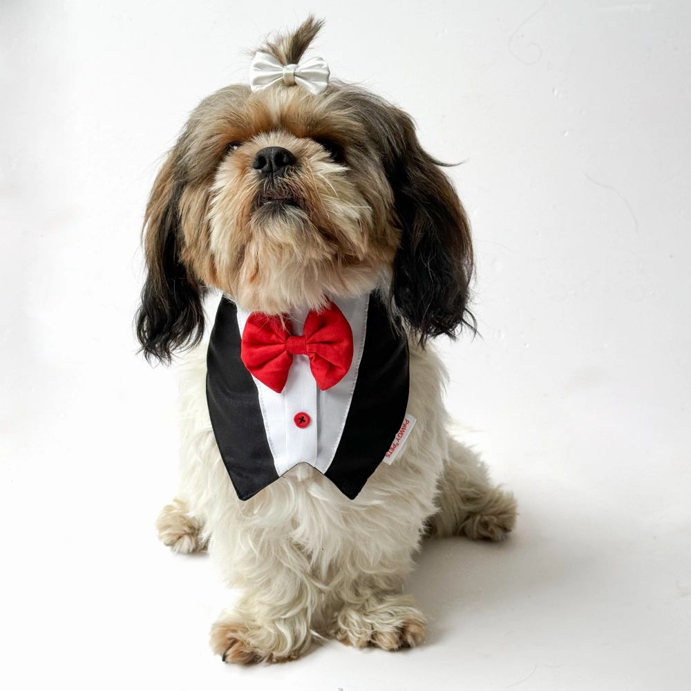 Pawgypets Formal Tux Bandana for Dogs and Cats (Black)