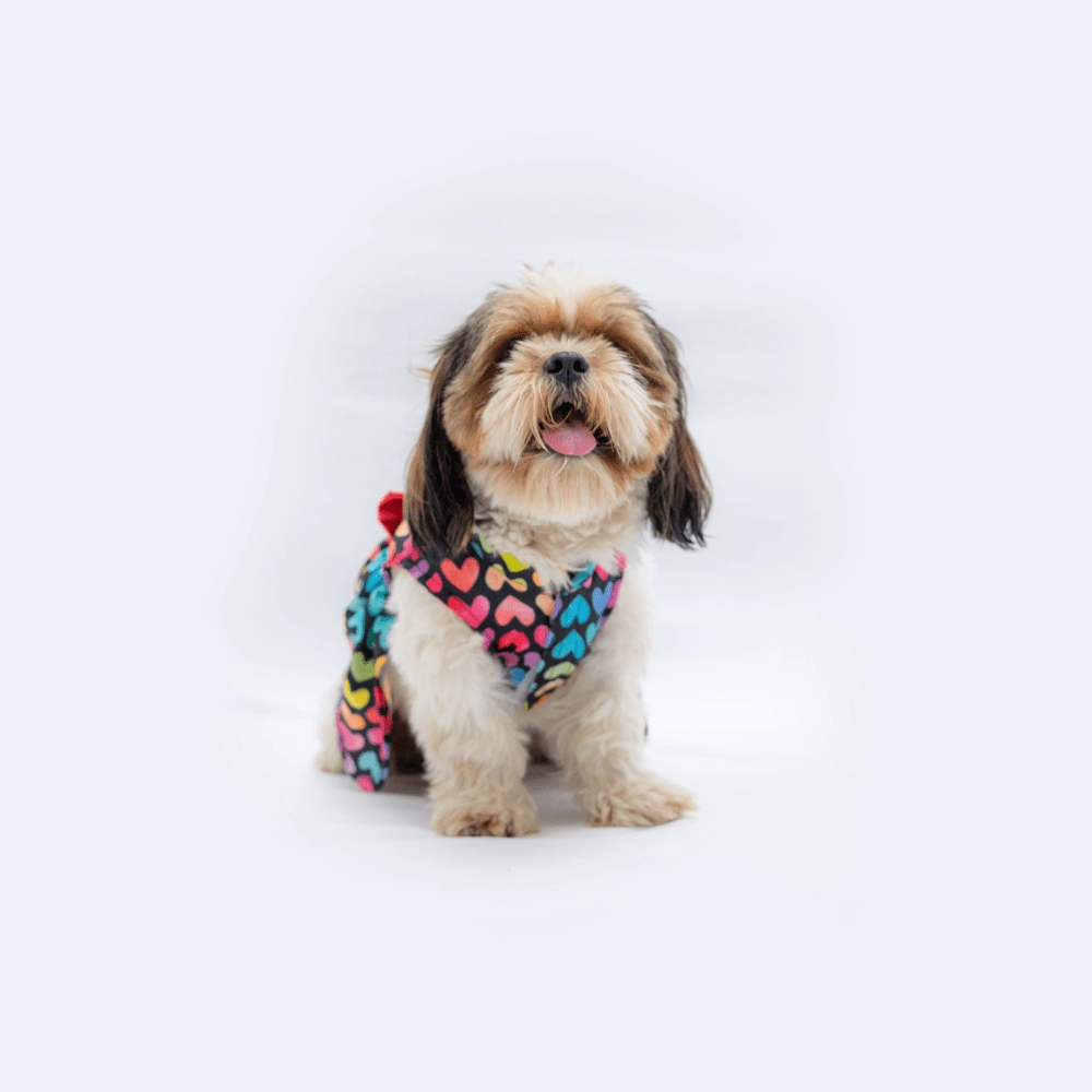 Pawgypets Multi Heart Casual Dress for Dogs and Cats
