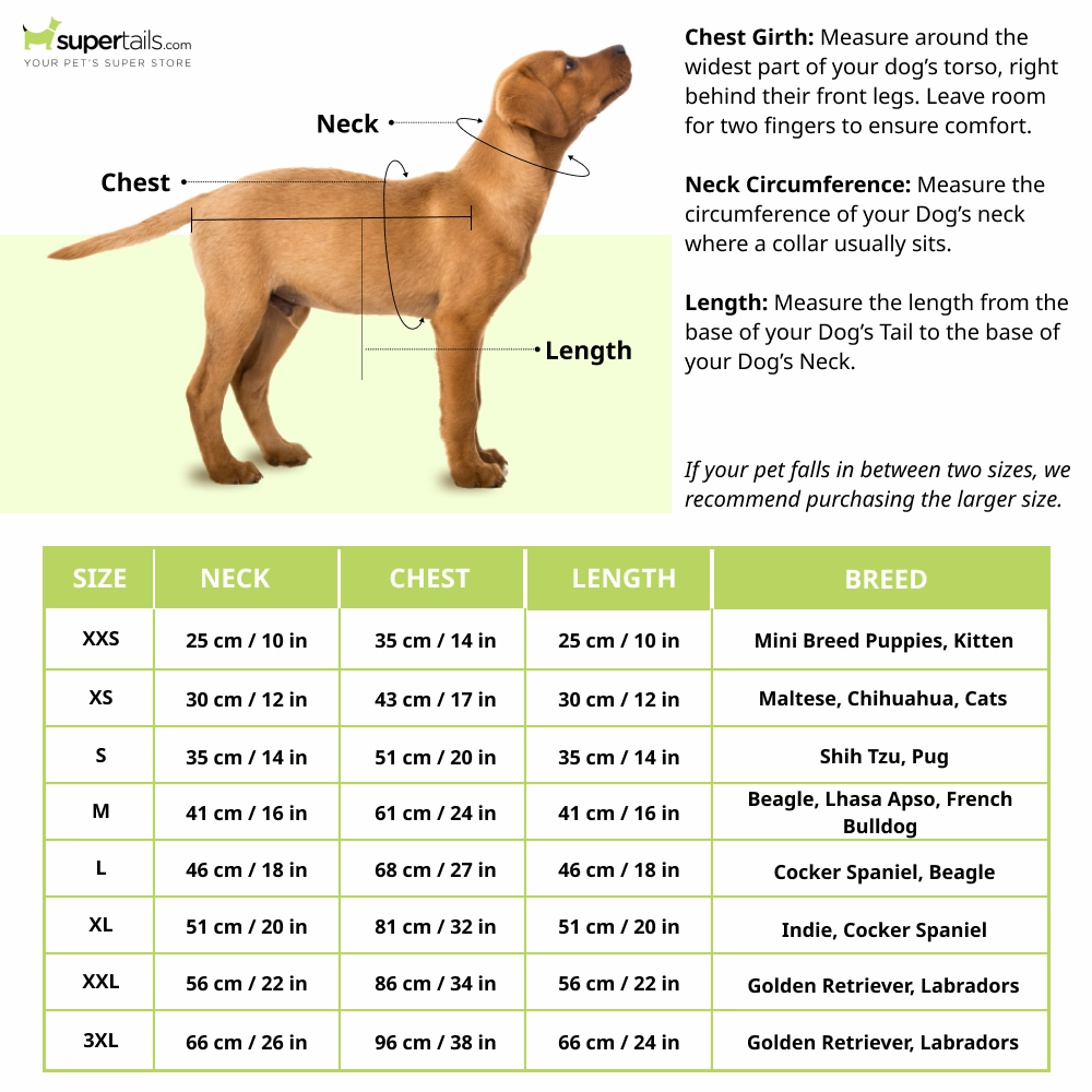 Pawgypets Occasion Wear Shirt for Dogs and Cats (Purple)