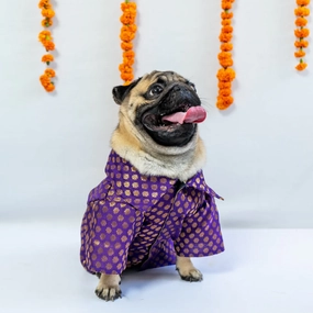 Pawgypets Occasion Wear Shirt for Dogs and Cats (Purple)