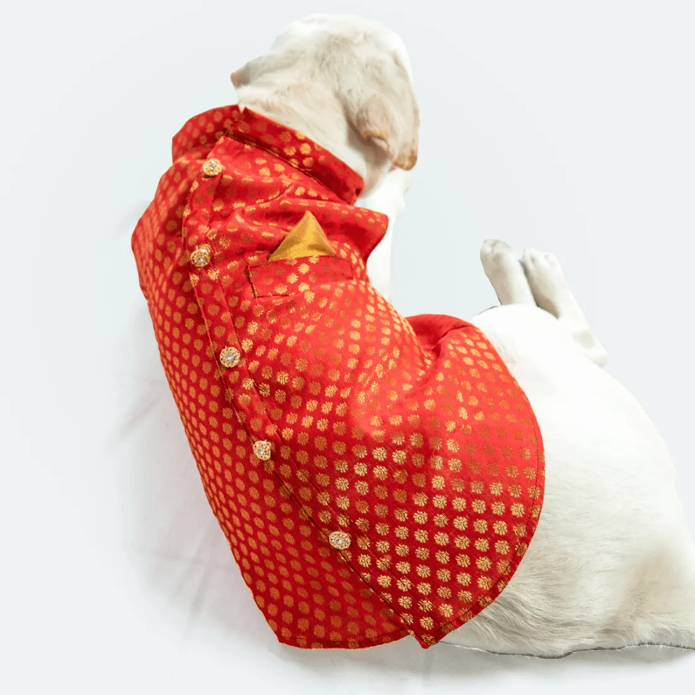 Pawgypets Sherwani for Dogs and Cats (Red)