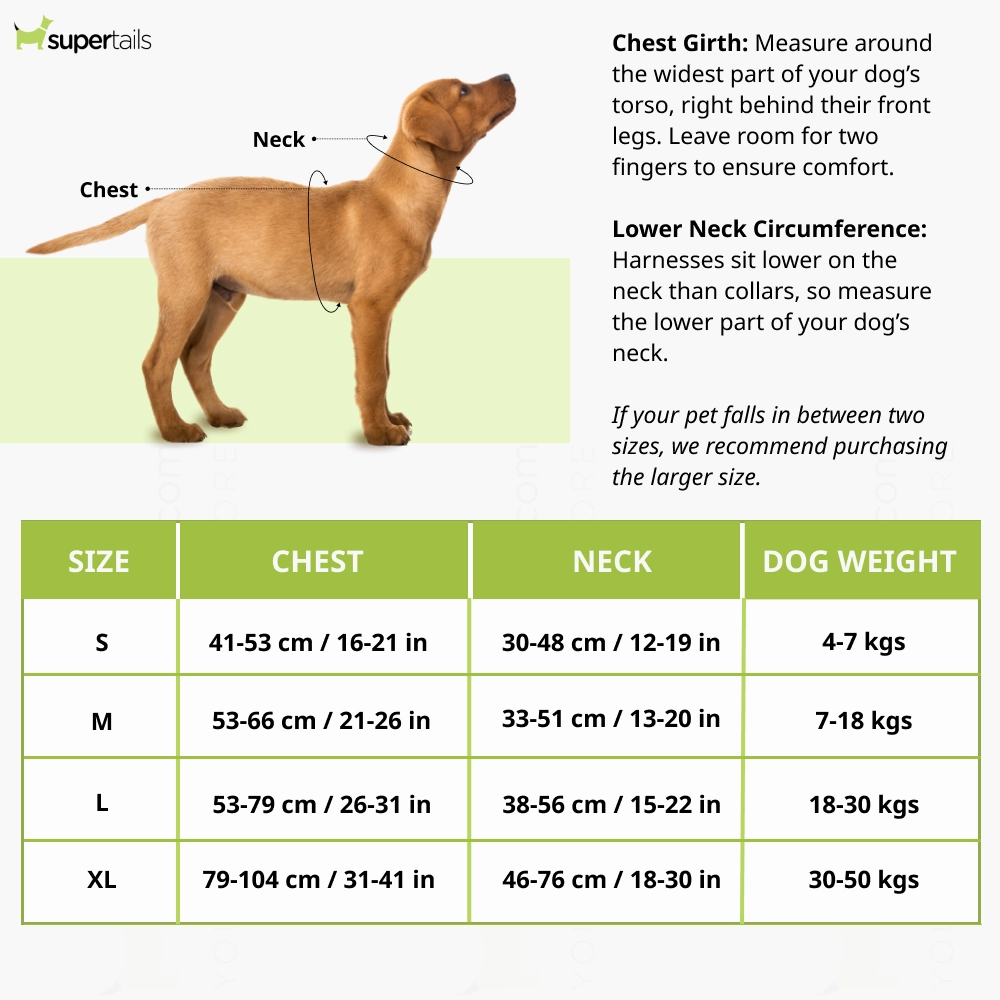Pawpourri Adjustable Reflective Padded Harness for Dogs (Grey)