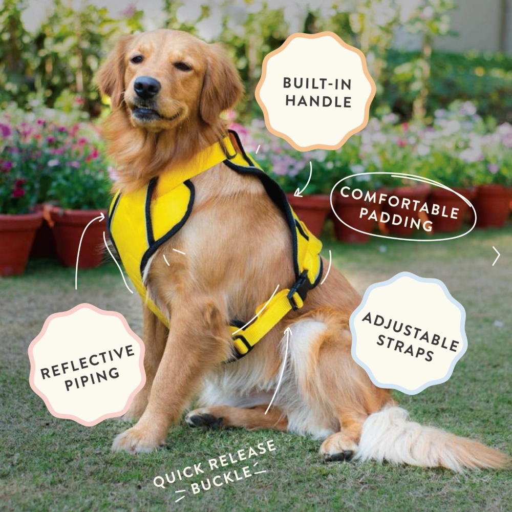 Pawpourri Adjustable Reflective Padded Harness for Dogs (Grey)