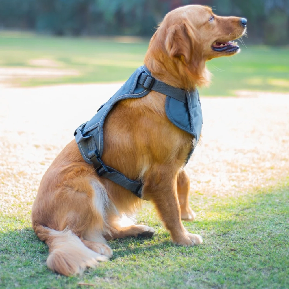 Pawpourri Adjustable Reflective Padded Harness for Dogs (Grey)