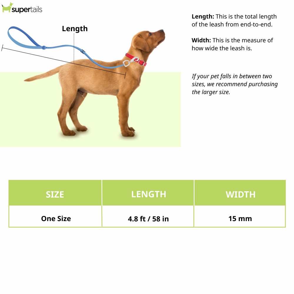 Pawpourri Classic Polyester Rope Leash for Dogs (Green)