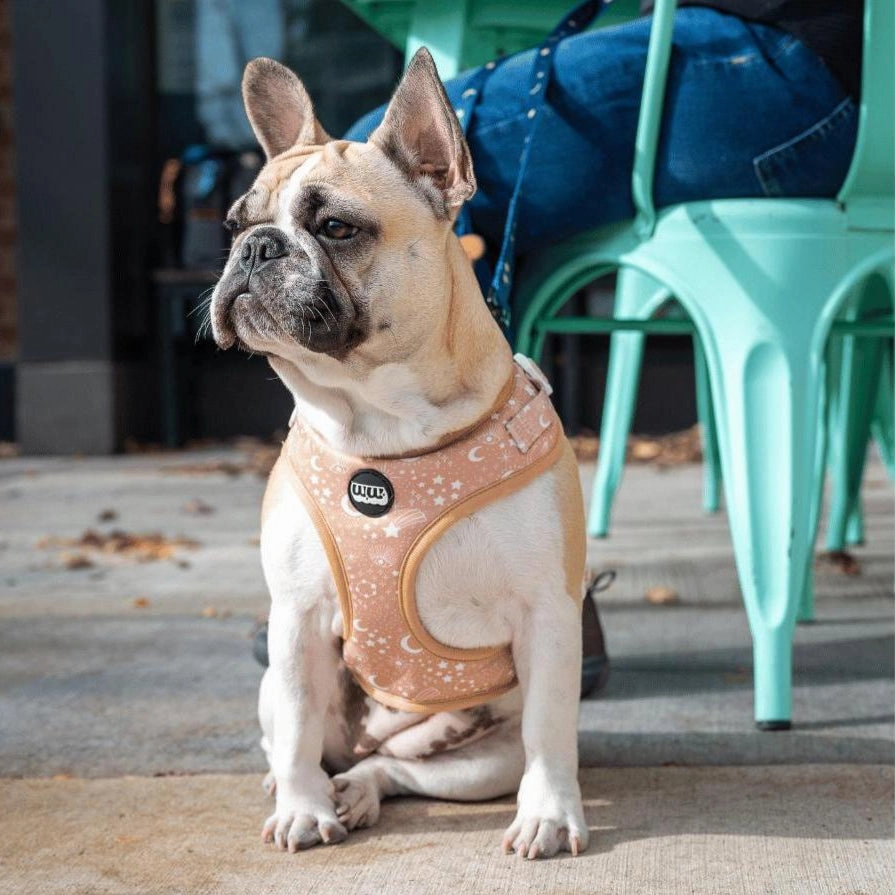 Pawstruck Adjustable Dog Harness