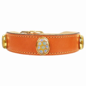 Peacock Collection Dog Collar Tangerine