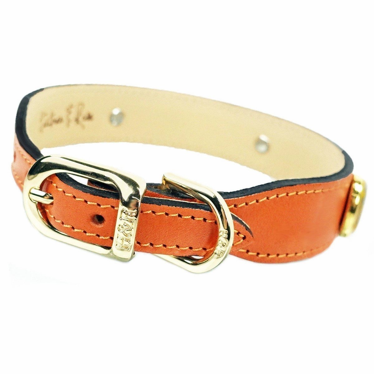 Peacock Collection Dog Collar Tangerine