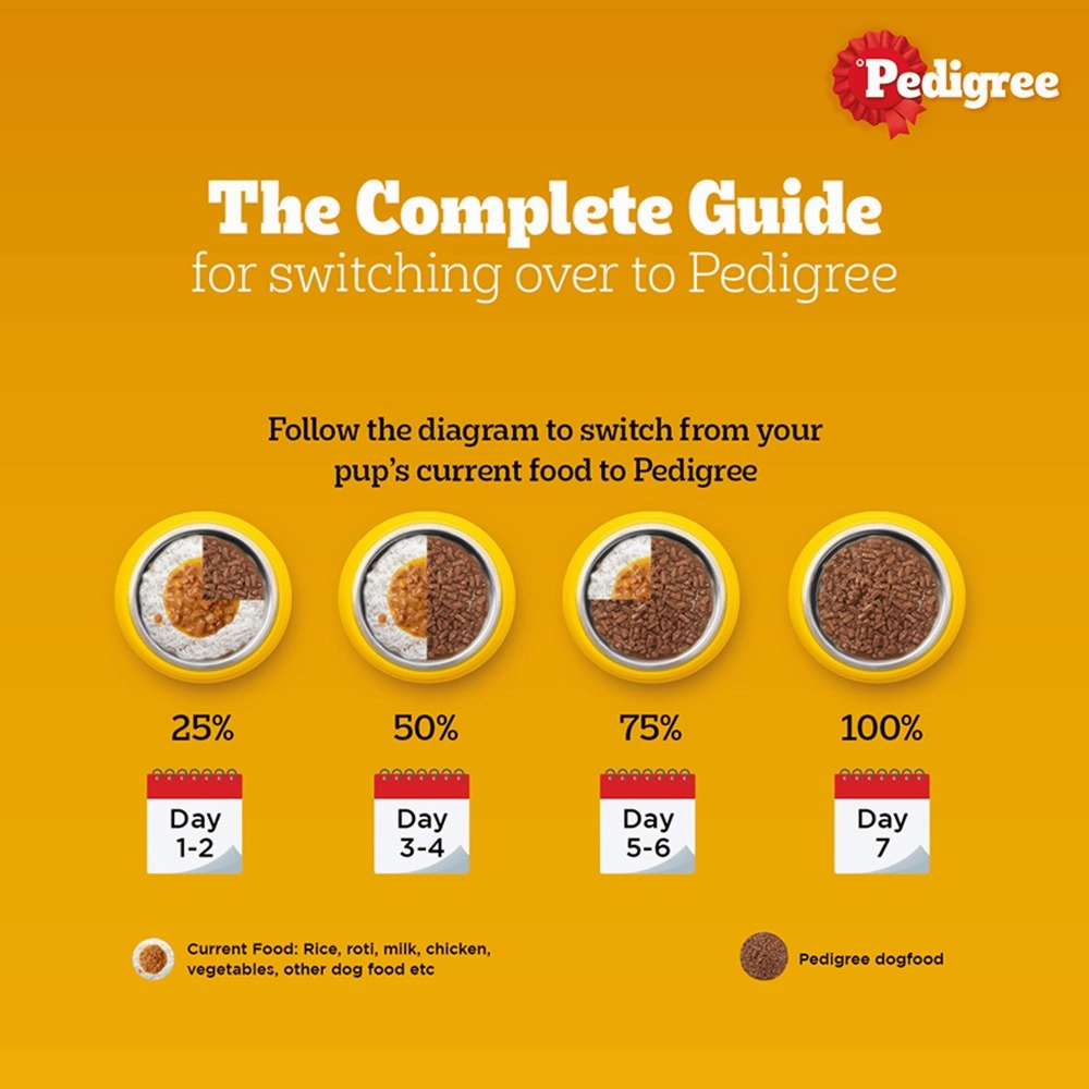 Pedigree PRO Active Adult Large Breed Dry Food, Pedigree Chicken Liver Gravy Adult Dog Wet Food Combo