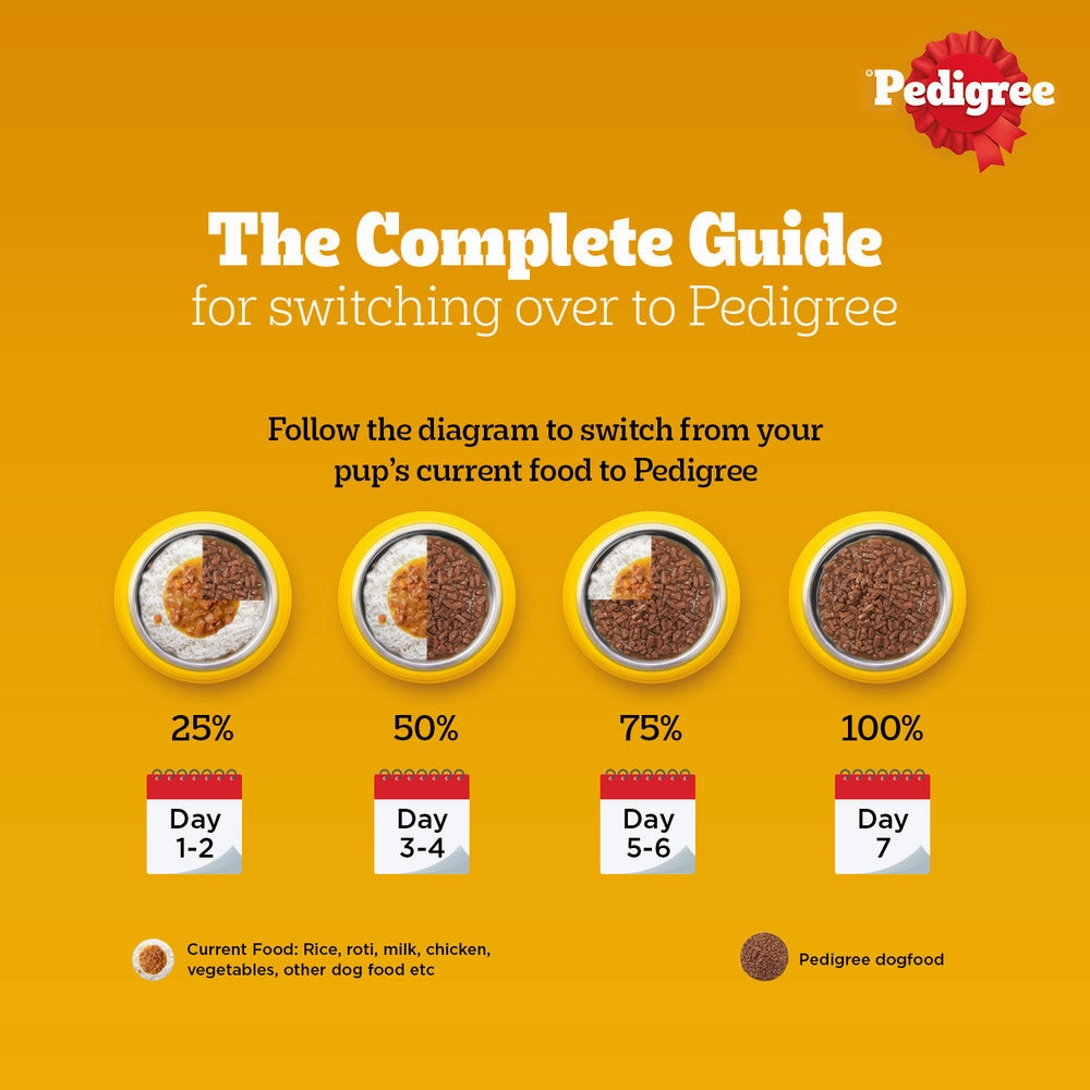 Pedigree PRO Active Adult Large Breed Dry Food, Pedigree Chicken Liver Gravy Dogs Wet Food Combo