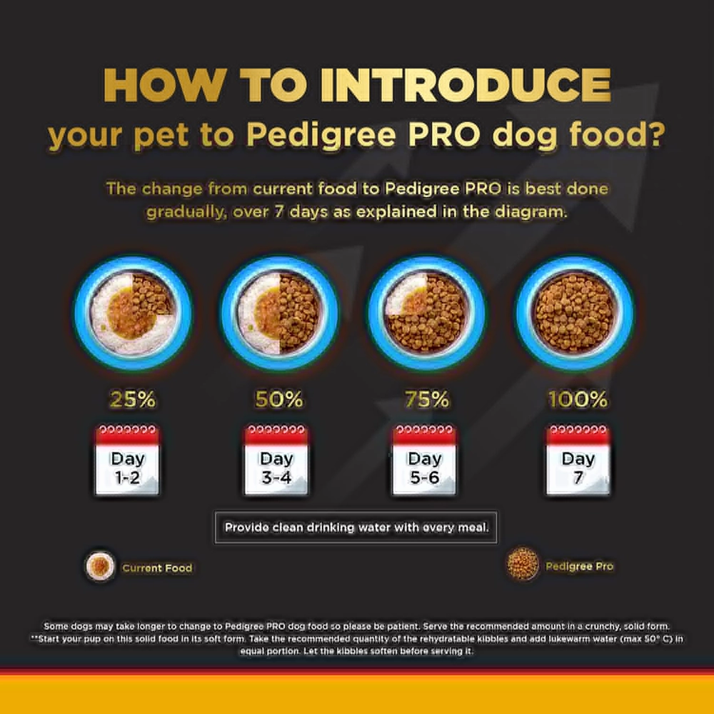 Pedigree PRO Active Adult Large Breed Dry Food, Pedigree Chicken Liver Gravy Dogs Wet Food Combo