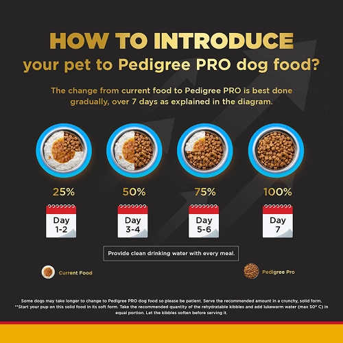 Pedigree PRO Expert Nutrition for Large Breed Puppy (3 to 18 Months) Dog Dry Food