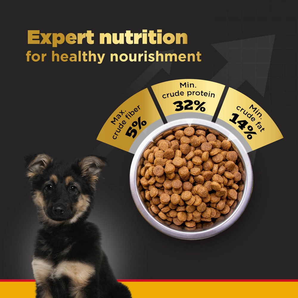 Pedigree PRO Large Breed Puppy Dry Food, Pedigree Chicken Liver Gravy Adult Dog Wet Food Combo