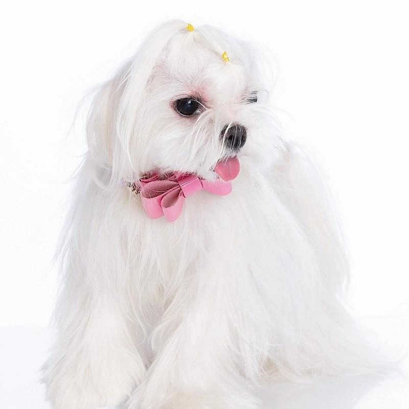 Perlee Pink Dog Collar