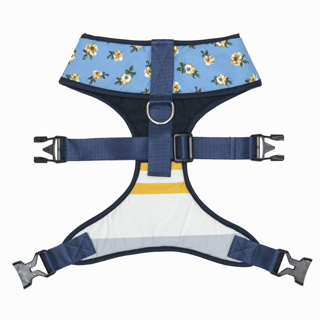 Pet And Parents Blue Flowers and Stripes Reversible Harness for Dogs