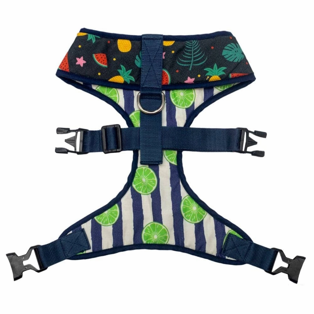 Pet And Parents Fresh Fruit Reversible Harness for Dogs