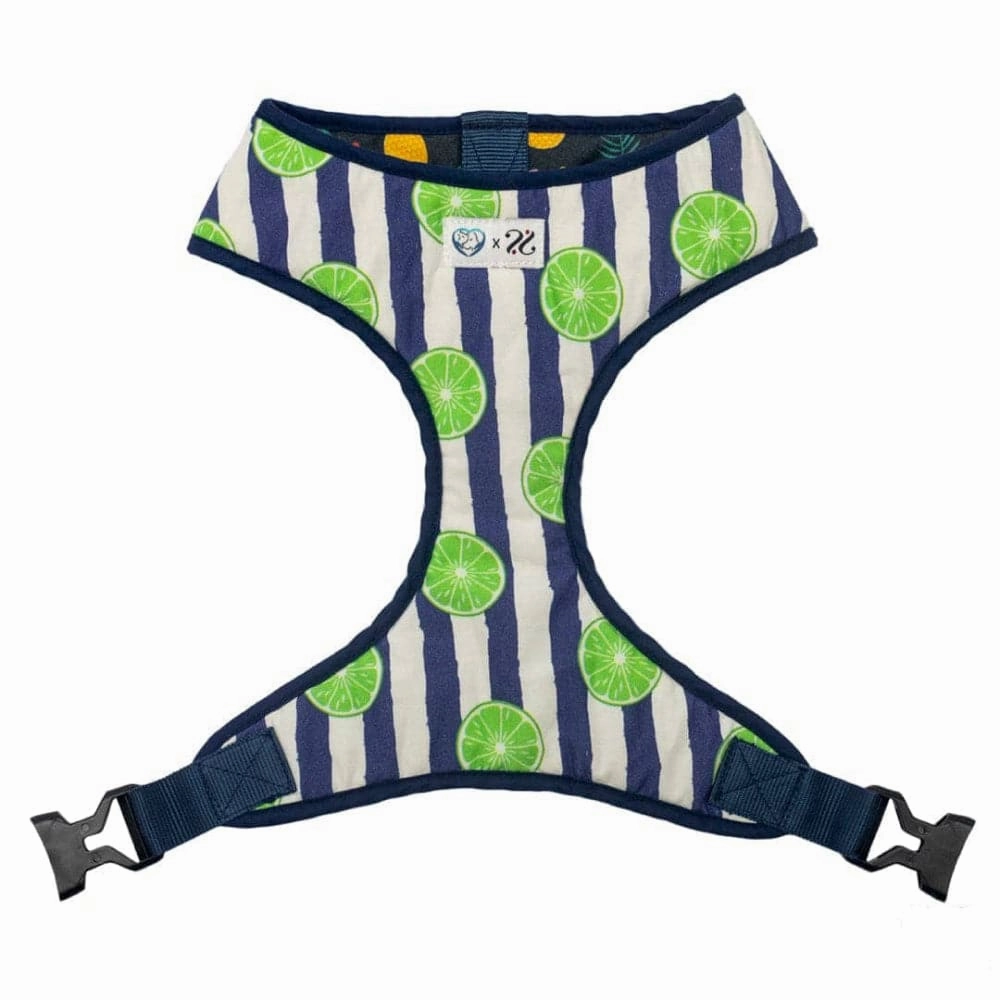 Pet And Parents Fresh Fruit Reversible Harness for Dogs