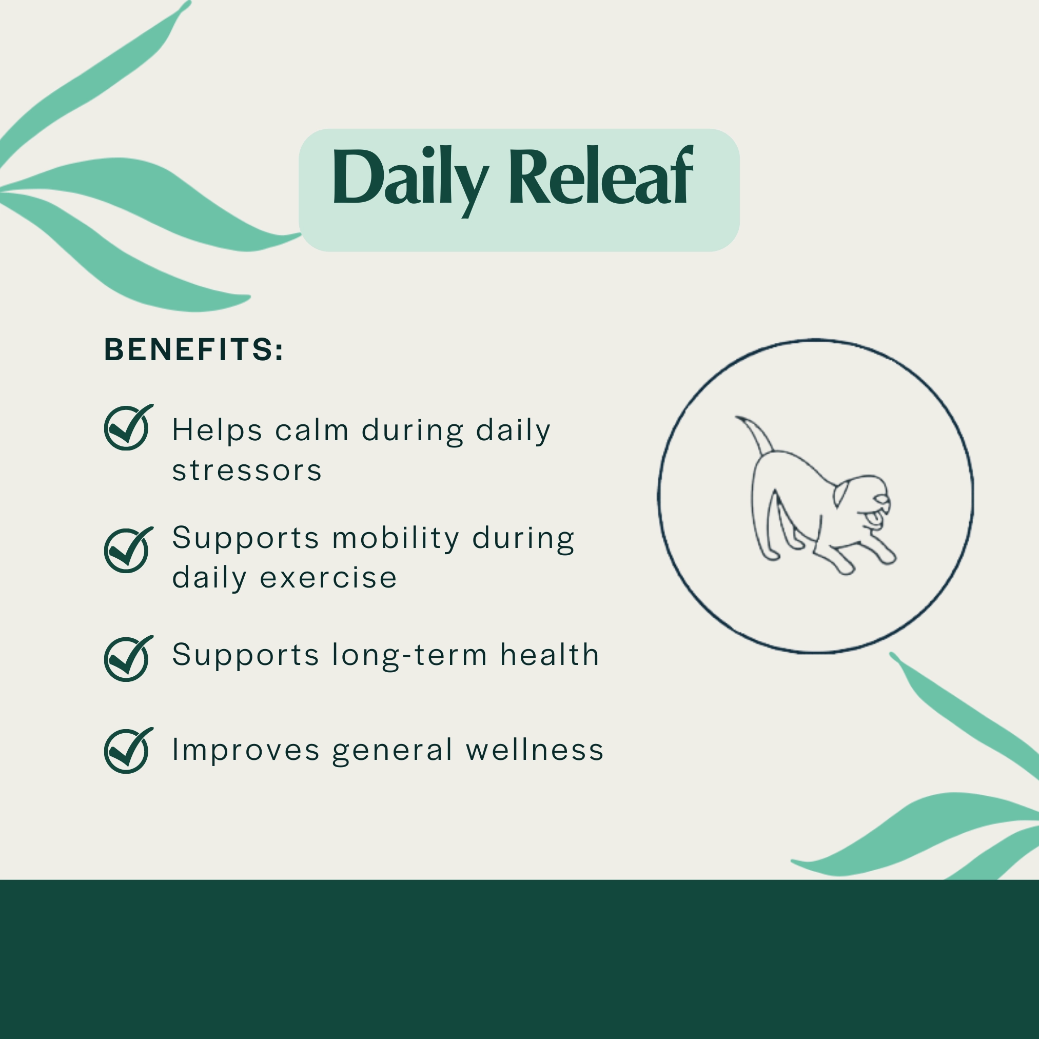 Pet Releaf Daily Releaf 200mg Hemp Oil for Medium Dogs
