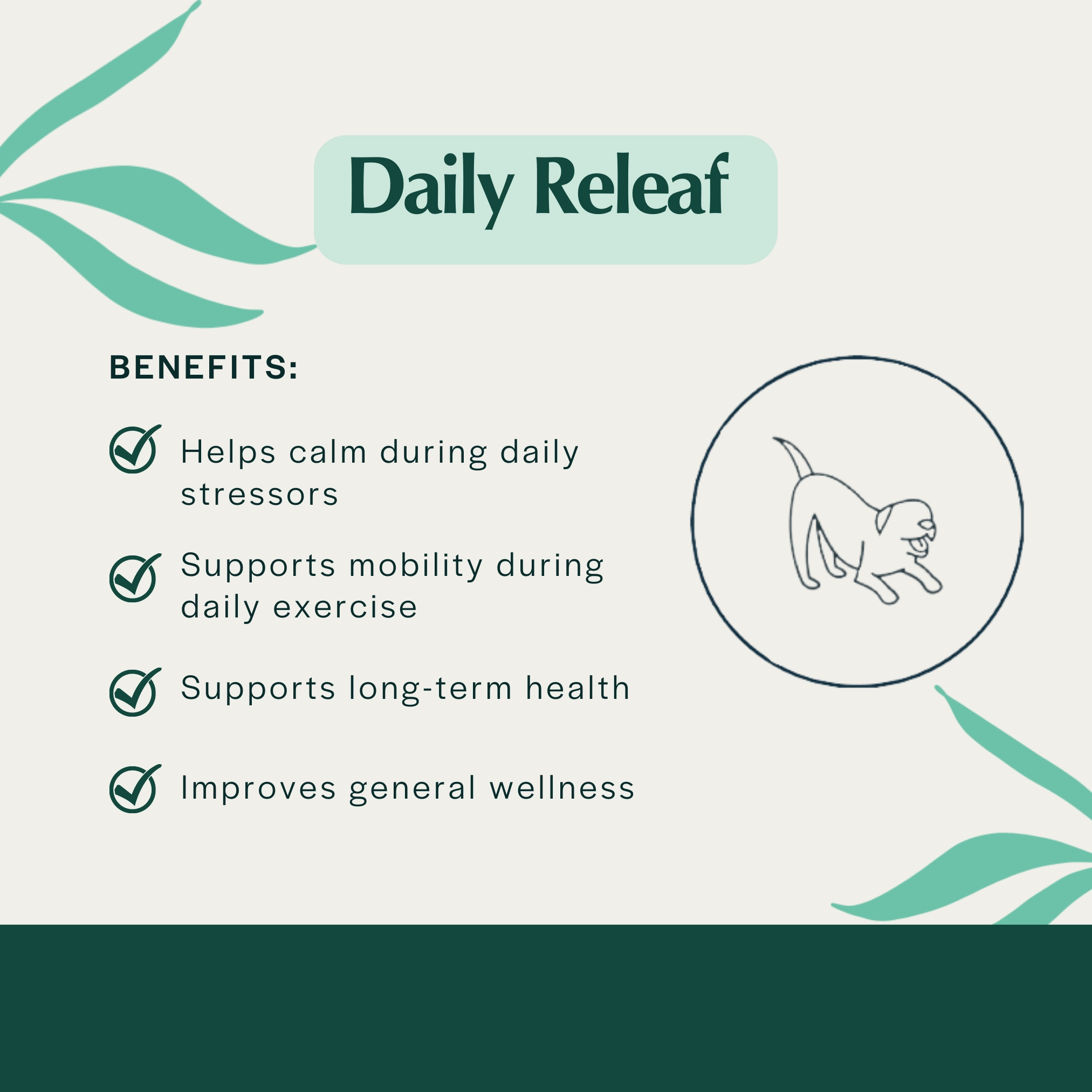 Pet Releaf Daily Releaf Edibites Blueberry & Cranberry Flavor for Small Dogs