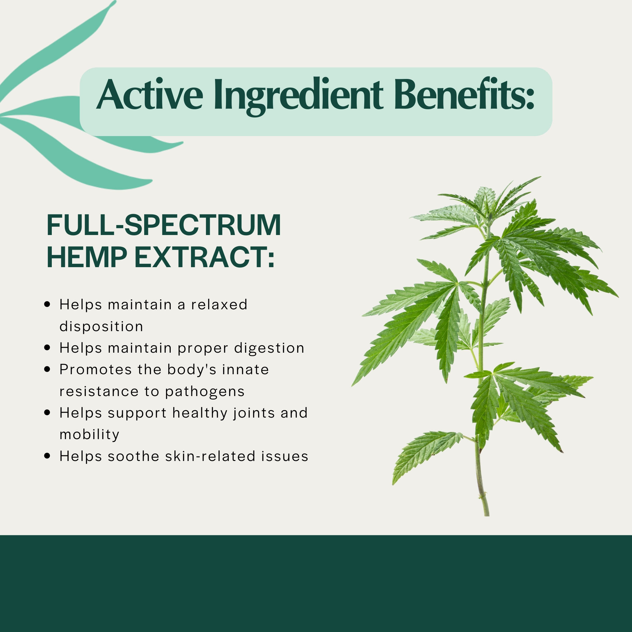 Pet Releaf Hip & Joint Releaf 300mg Hemp Oil for Dogs & Cats