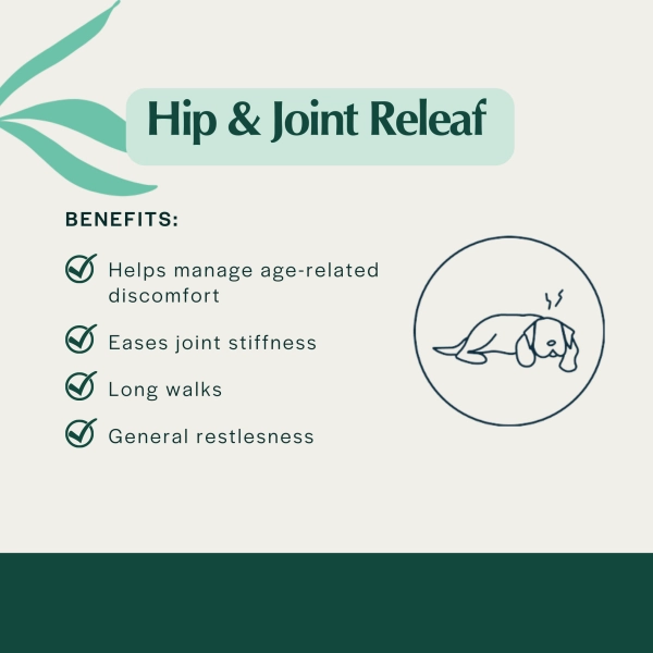 Pet Releaf Hip & Joint Releaf 600mg Hemp Oil for Dogs