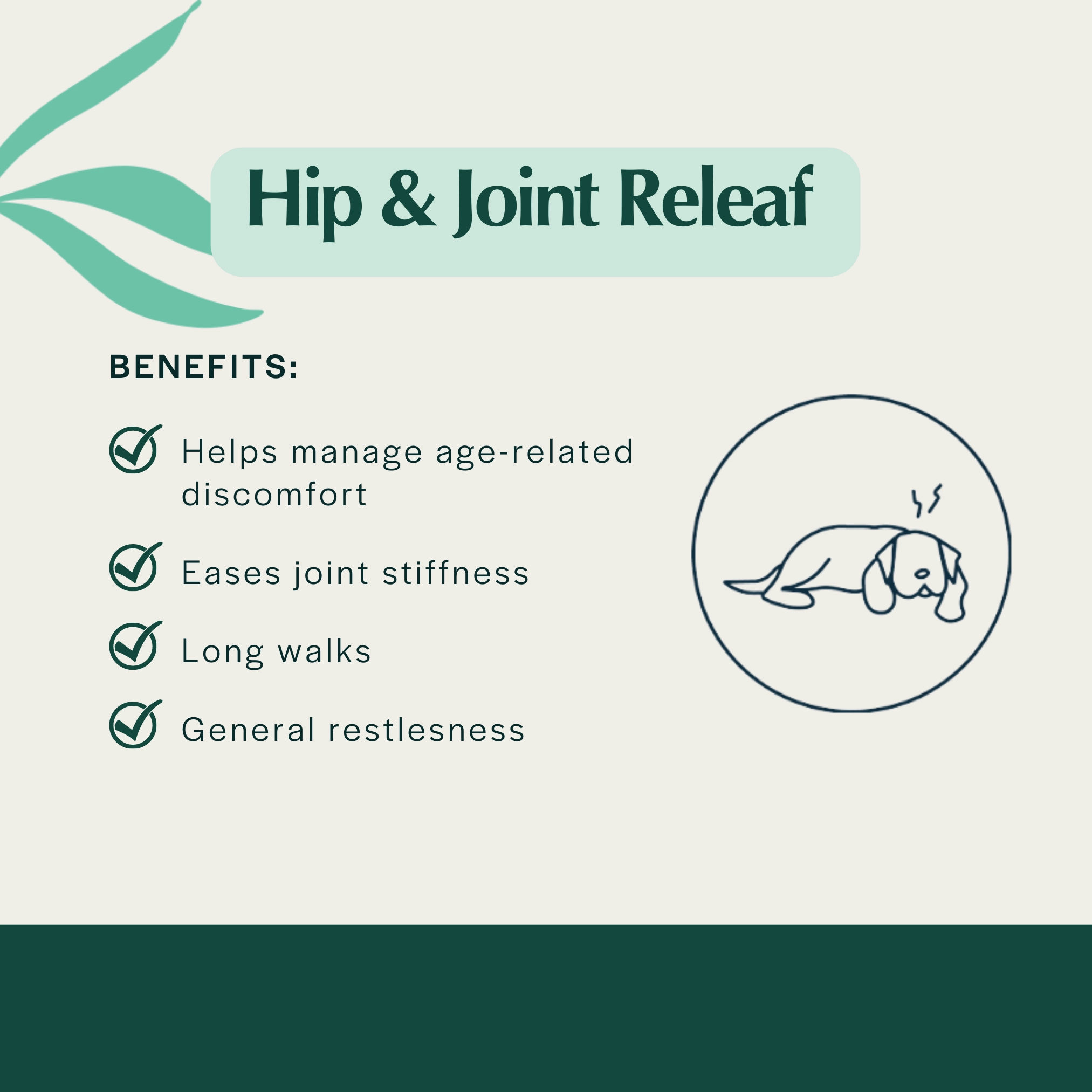 Pet Releaf Hip & Joint Releaf Edibites Peanut Butter & Banana Flavor for Medium & Large Dogs