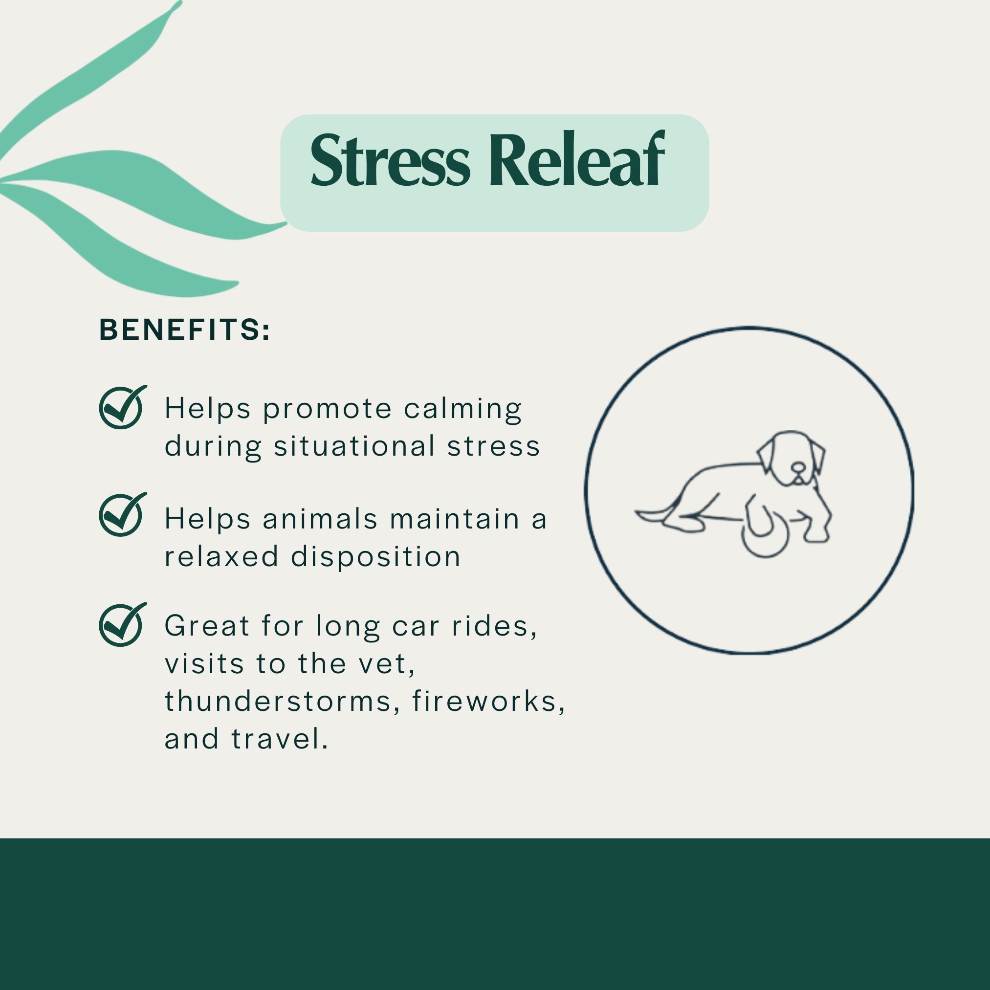 Pet Releaf Stress Releaf Edibites Peppered Bacon Flavor for Medium & Large Dogs