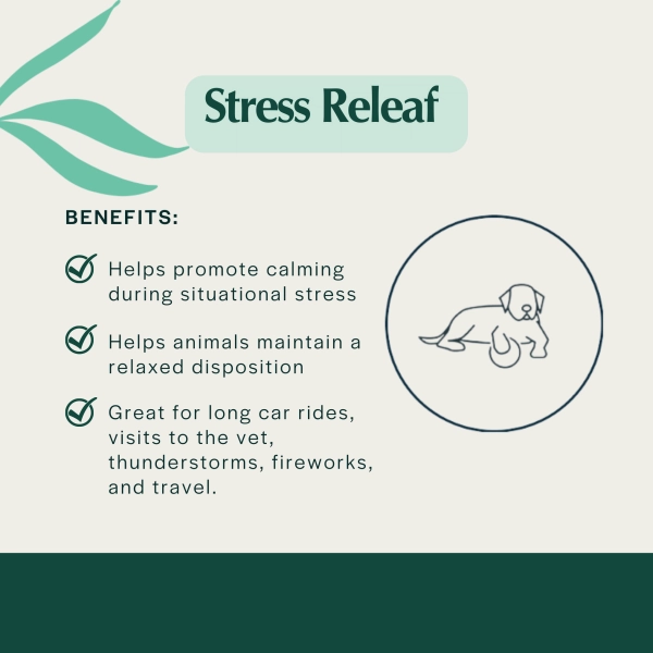 Pet Releaf Stress Releaf Travel Size Edibites Peanut Butter & Carob Flavor for Dogs