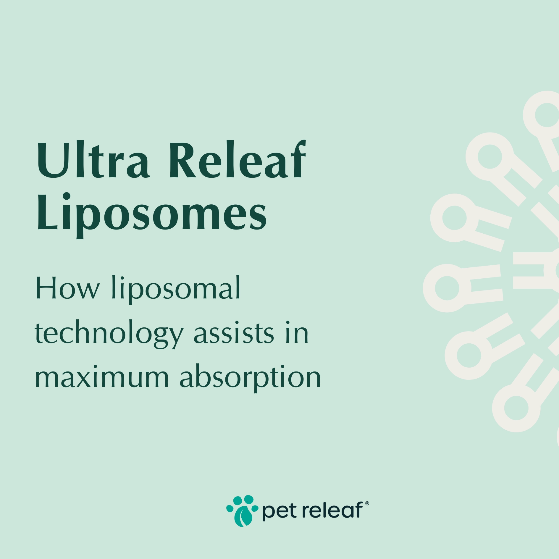 Pet Releaf Ultra Releaf Hemp Oil 100 For Small Dogs & Cats