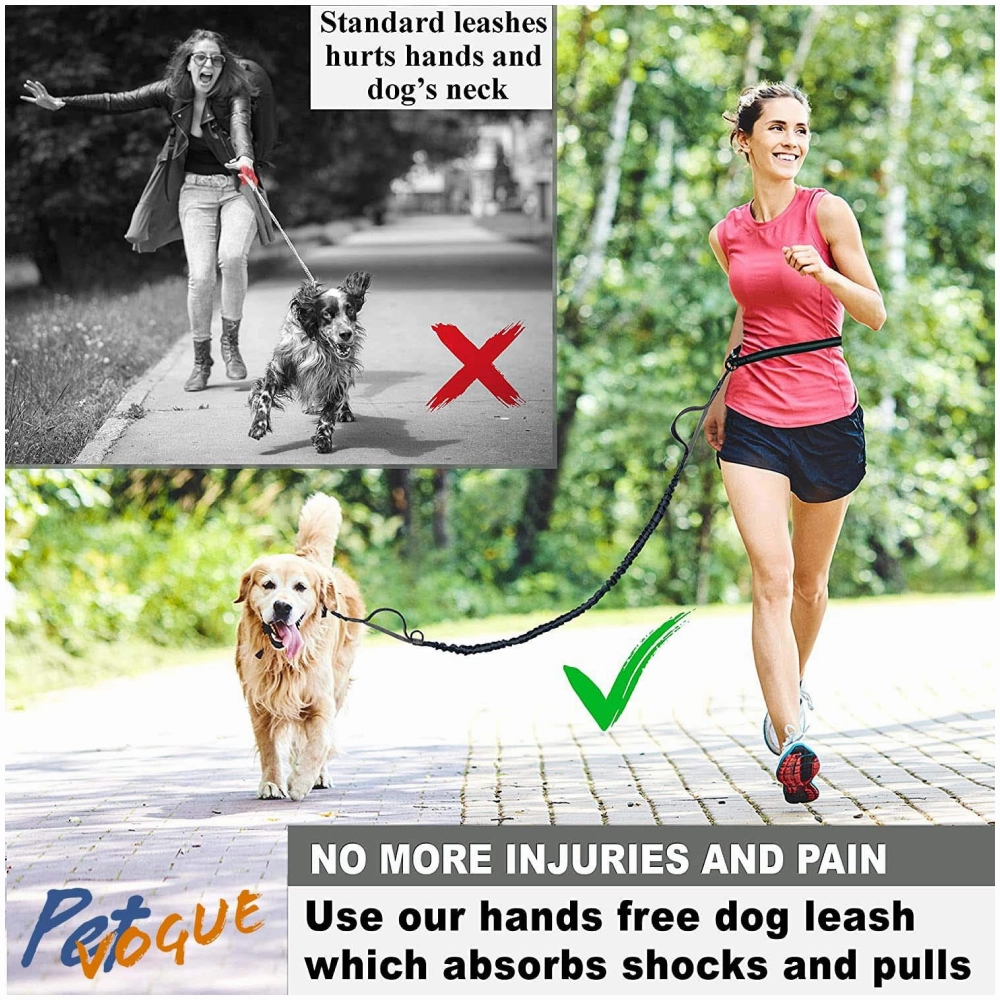 Pet Vogue Shock Proof Hands-Free Dog Leash for Medium and Large Dogs (5ft)