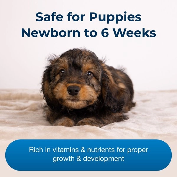 PetAg Esbilac Puppy Milk Replacer Powder Supplement for Dogs