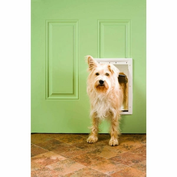PetSafe Plastic Pet Door