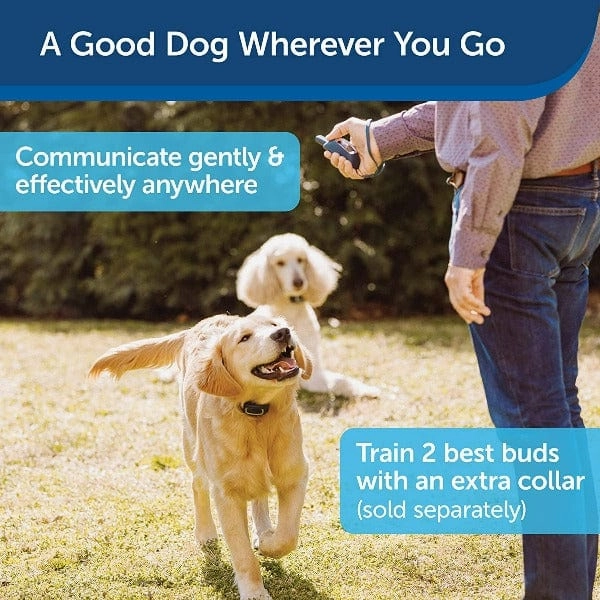 PetSafe Remote Spray Trainer; 300 Metre