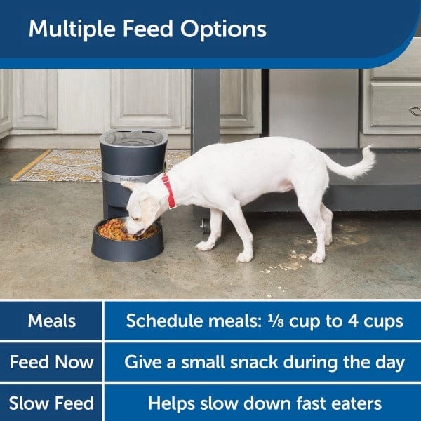 PetSafe Smart Feed Automatic Pet Feeder 2.0