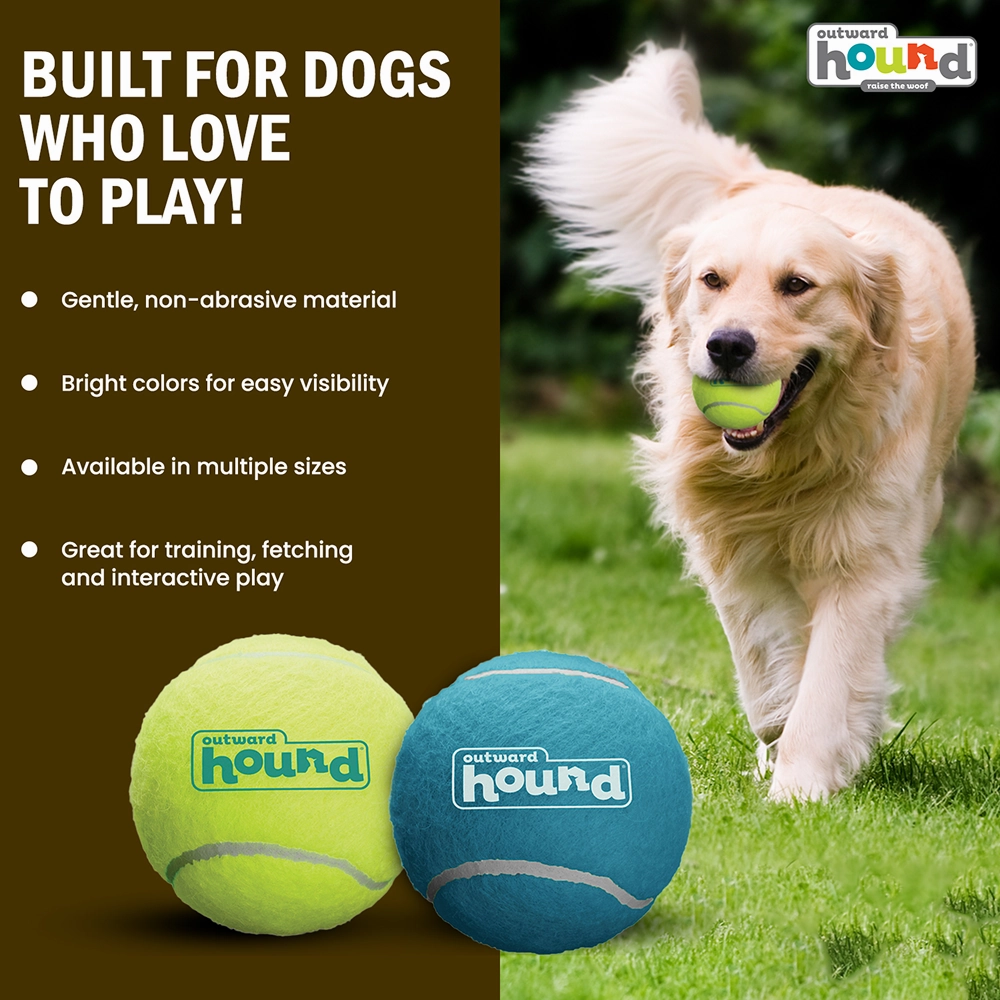 Petstages Squeaker Ballz Toy for Dogs (Blue/Green)