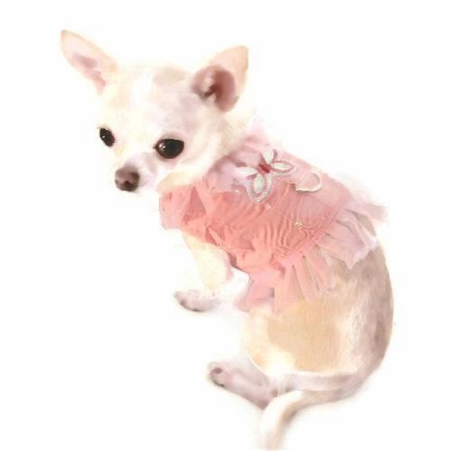 Pink Butterfly Angel Dog Harness Vest
