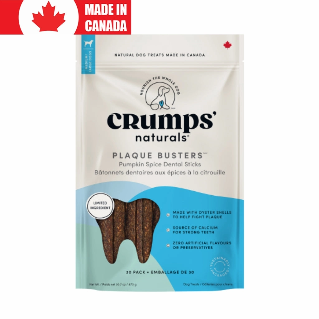Plaque Busters Pumpkin
