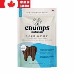 Plaque Busters Pumpkin