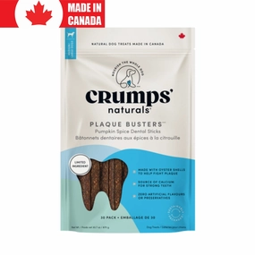 Plaque Busters Pumpkin