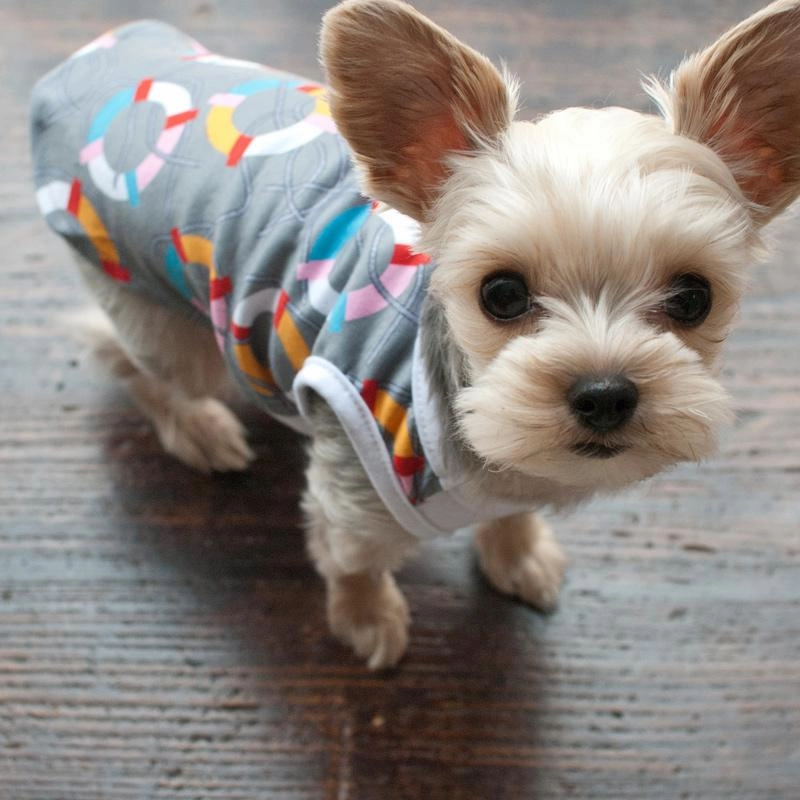 PP Lifesaver Dog Tank