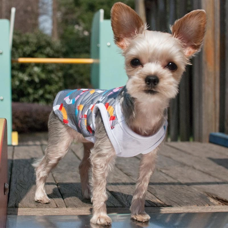 PP Lifesaver Dog Tank