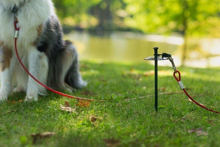 Prevue Pet Products Dog Tie Out Cable; Medium Duty