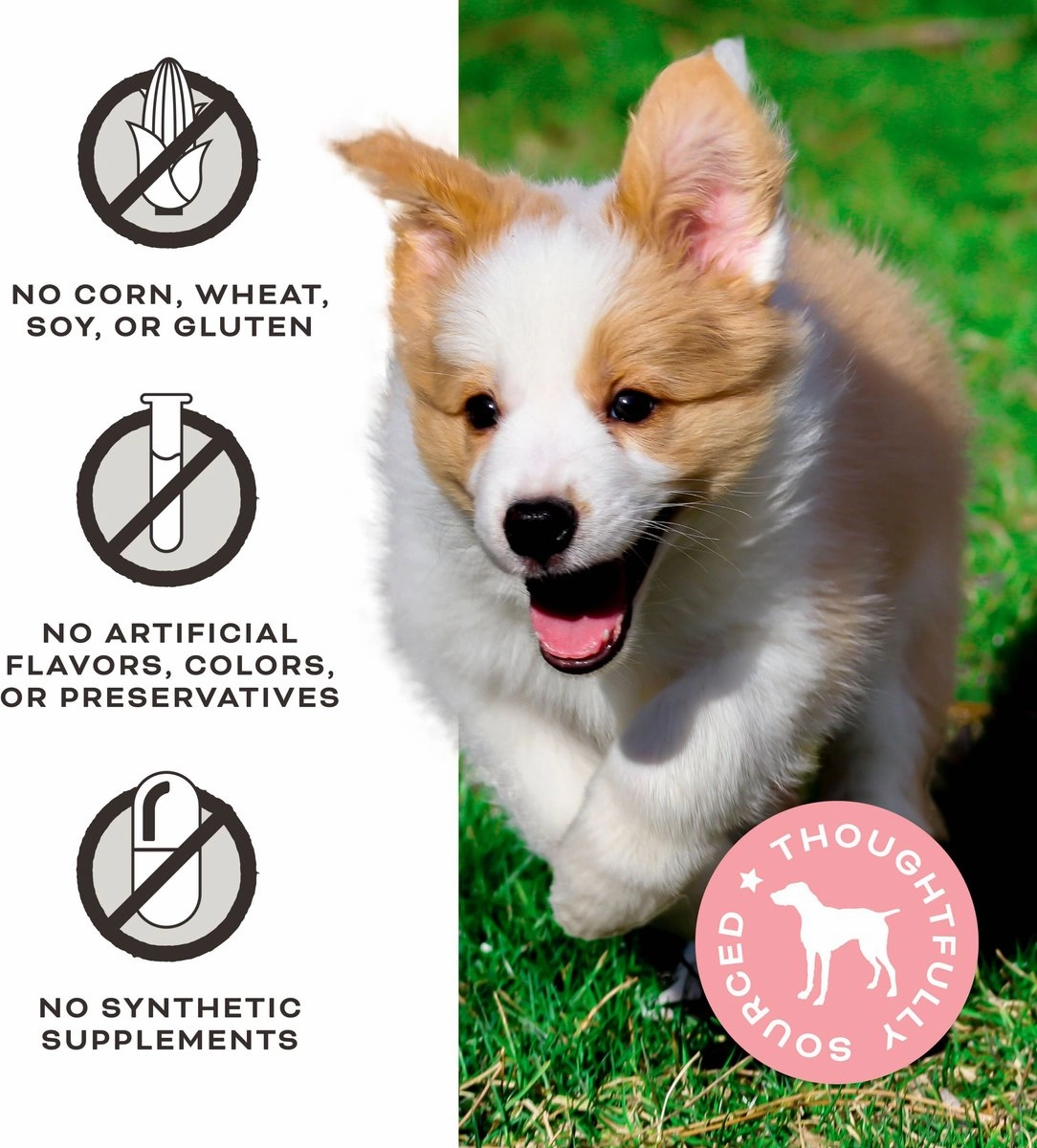 Primal Let's All Get A Lung Beef Recipe Treats for Dogs