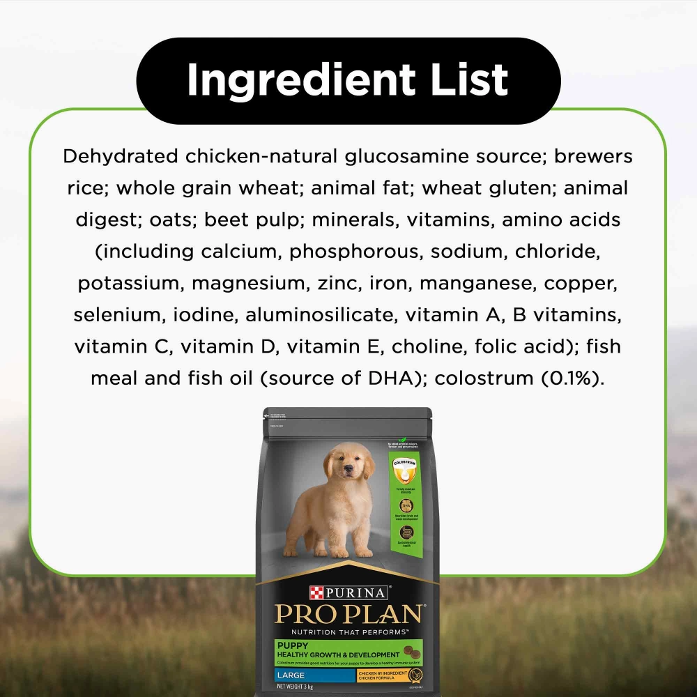 Pro Plan Chicken Large Breed Puppy Dog Dry Food (New Improved Formula)