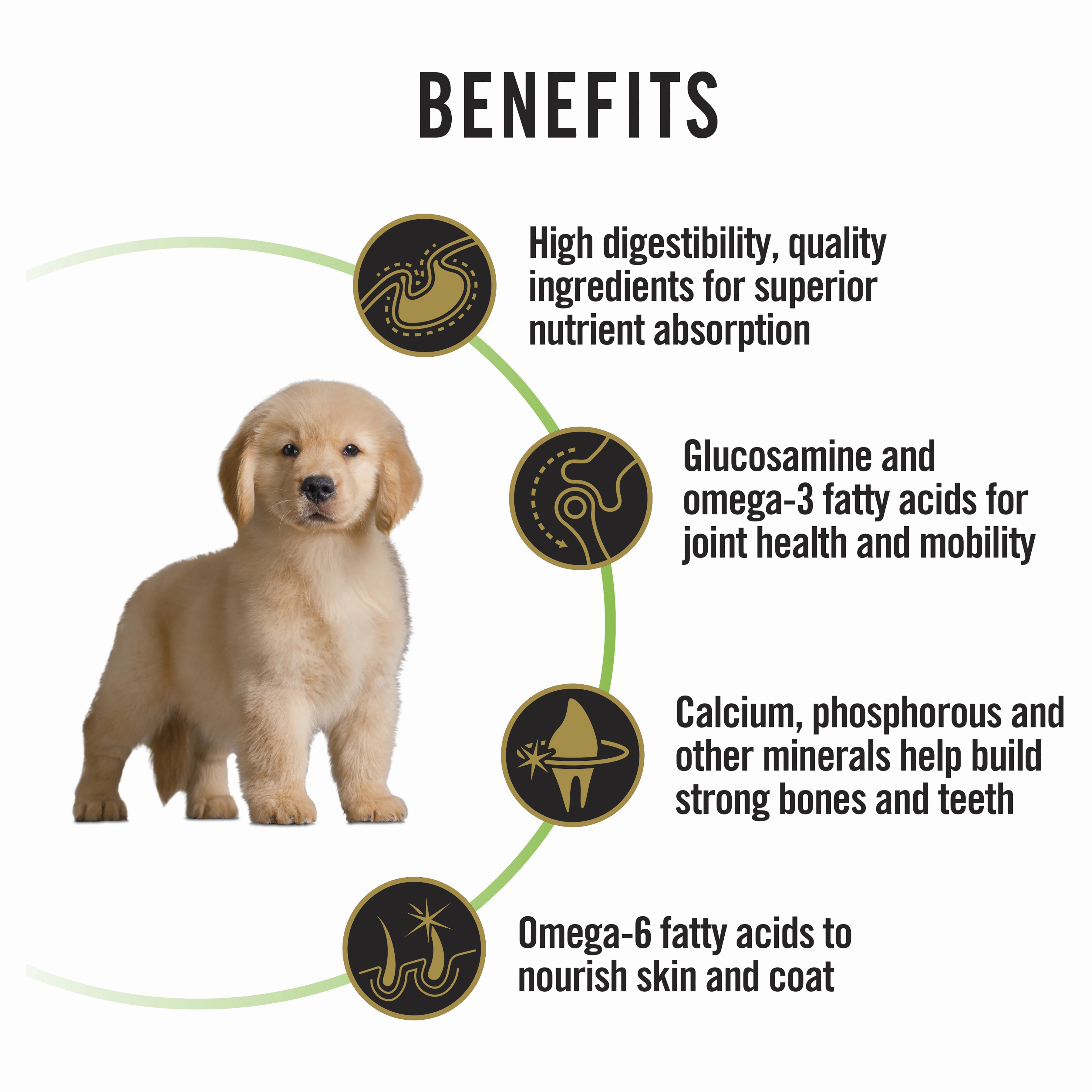 PRO PLAN Puppy Large Breed Chicken Dry Dog Food (3kg)