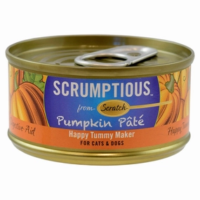 Pumpkin Pat