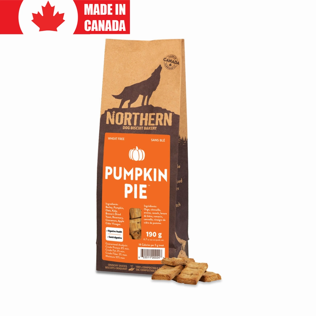 Pumpkin Pie